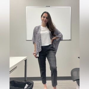 ARITZIA BABATON Conan Wool Cashmere Cropped Pant | Size 0